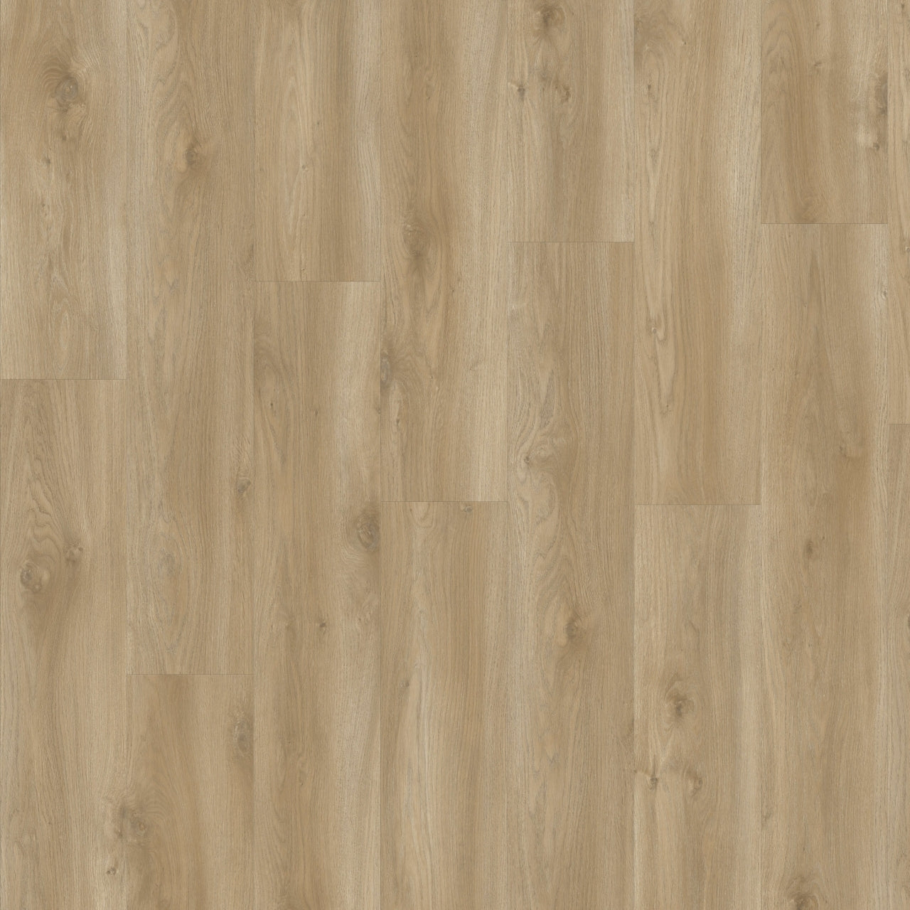 Moduleo LayRed Sierra oak 58847